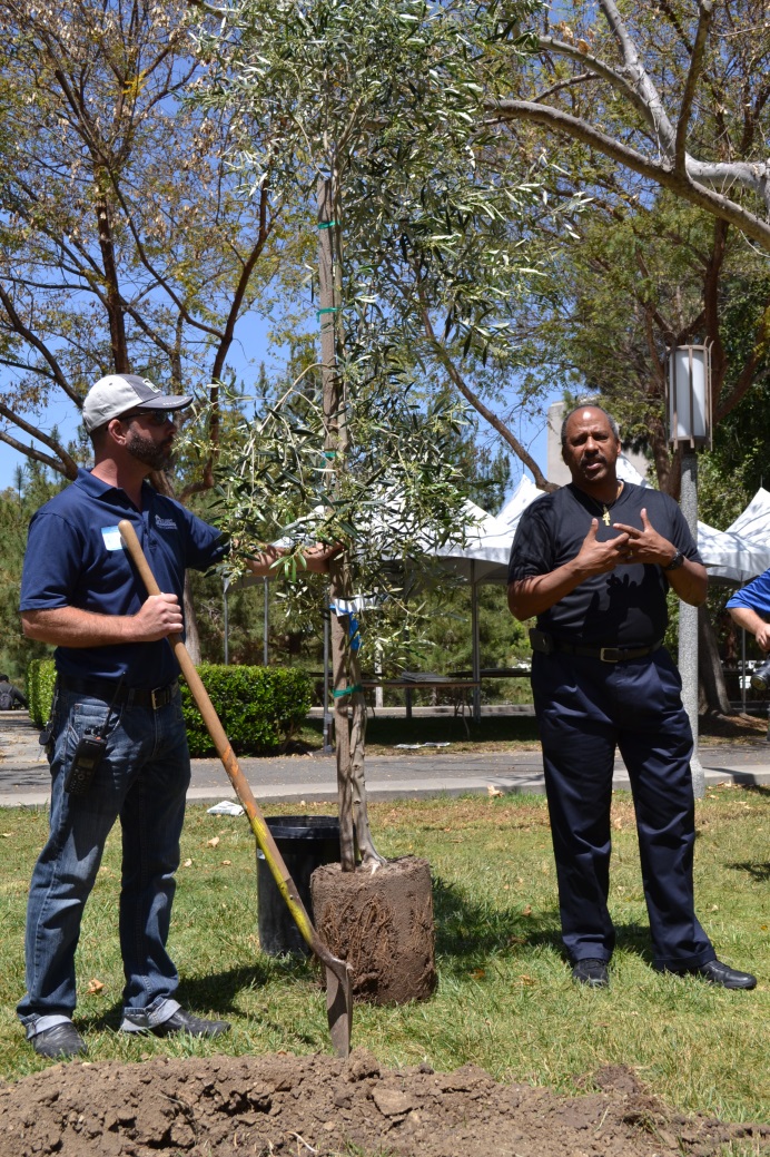 students planting trees